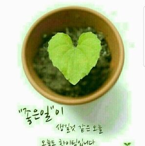 Meet your Posher, Andy